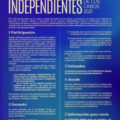 Gobierno de Los Cabos te invita a participar en la “Convocatoria de Apoyo a Creadores Escénicos Independientes de Los Cabos 2021”