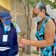 BRIGADAS DE SALUD REALIZAN RECORRIDOS DOMICILIARIOS PARA FORTALECER LA PREVENCIÓN DEL DENGUE