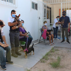 REALIZAN JORNADA DE ESTERILIZACIÓN CANINA Y FELINA EN LA PAZ