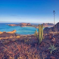 INVITAN A PARTICIPAR EN CONSULTA PÚBLICA DEL PROGRAMA DE ORDENAMIENTO ECOLÓGICO DE BCS