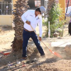 Gobiernos, autoridades, sindicatos y ciudadanía se suman a la Campaña de Limpieza que encabeza el alcalde Oscar Leggs en Los Cabos