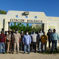 Tras estar en total abandono, en Los Cabos se pondrá en funcionamiento el campamento tortuguero ‘’Don Manuel Orantes’’