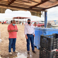 PONDRÁN EN MARCHA SEPADA Y API PLAN DE REHABILITACIÓN DE ÁREA DE EMBARQUE Y DESEMBARQUE EN SANTA ROSALÍA