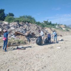 Intensifica Dirección de Ecología limpieza en playas y arroyos de Los Cabos