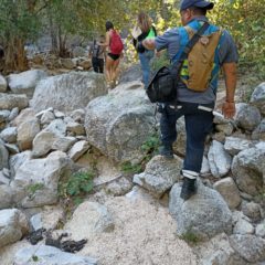 SALDO BLANCO EN OPERATIVO DE LA SIERRA DE LA LAGUNA: PROTECCIÓN CIVIL ESTATAL