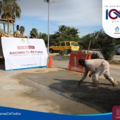 Con programa “Bacheo tras Fuga” Oomsapas Los Cabos reparó 202 baches en 100 días de Gobierno