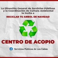 Instalará Servicios Públicos en Los Cabos Centros de Acopio para árboles navideños