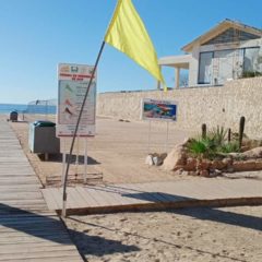 Ante fuerte oleaje que prevalece, exhorta Zofemat Los Cabos a respetar la señalización de banderas en las playas