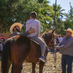 ¡Primero la salud de quien más lo requiere! En Los Cabos, se facilitan equinoterapias a la niñez con discapacidad intelectual