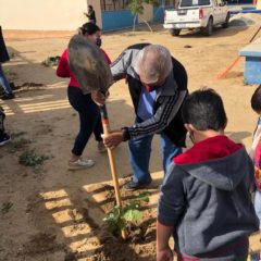 Con el objetivo de promover la educación ambiental en la niñez, se continúa con la reforestación de escuelas públicas en Los Cabos