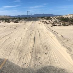 ATIENDE SEPUIMM LIMPIEZA DE LA CARRETERA VIZCAÍNO A BAHÍA TORTUGAS