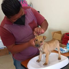 Iniciarán jornadas de salud en todas las delegaciones de Los Cabos