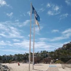 ¿Sabías que en las playas con distintivo Blue Flag está prohibido encender fogatas? ¡Evítalas!￼