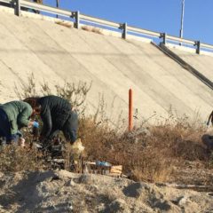 660 kilos de basura fueron retirados de El Tule, en el marco del 22 de marzo “Día Mundial del Agua”