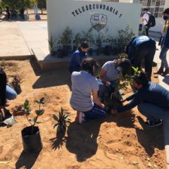 ￼Con reforestaciones en planteles educativos, en Los Cabos sigue la promoción de la educación ambiental