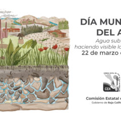 Actividades en el marco del Día Mundial del Agua