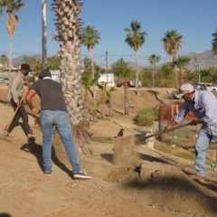 Reforzará Servicios Públicos limpieza de parques ante petición de niñas y niños de Los Cabos