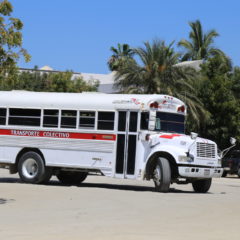 Habrá nuevas concesiones de transporte urbano y colectivo en Los Cabos