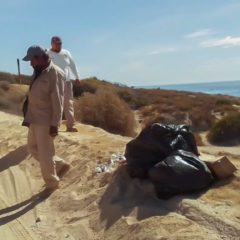 78 toneladas de basura recolectó Servicios Públicos en playas de Los Cabos durante Semana Santa