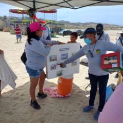 Durante la Semana Santa, Zofemat Los Cabos realizó diversas actividades en las playas a favor de la educación ambiental￼