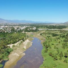 En Los Cabos, se emplearán estrategias a favor del Ecoturismo para el cuidado y conservación del estero josefino