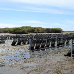 LANZARÁ SEPADA PROGRAMA DE APOYO POR CONTINGENCIAS CLIMATOLÓGICAS