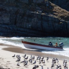 CONTINÚA PROGRAMA DE SEGURO DE VIDA A PESCADORES 2022-2023