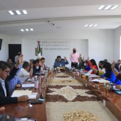 El reglamento interno para el Comité Municipal Red para la Protección de la Tortuga Marina fue aprobado por el H. Cabildo de Los Cabos