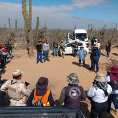 REALIZAN COLECTIVOS Y COMISIÓN DE BÚSQUEDA DE PERSONAS, JORNADA EN COMONDÚ