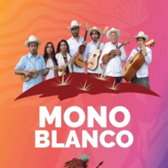 Ofrecerá concierto el grupo Mono Blanco en el Malecón