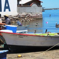 RENOVARÁN PADRÓN PARA PROGRAMA SEGURO DE VIDA A PESCADORES