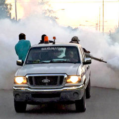 FUMIGAN EN LORETO PARA PREVENIR EL DENGUE