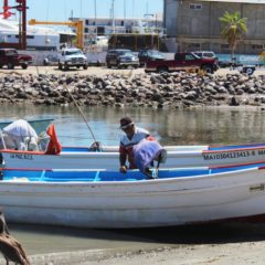 AVANZA RENOVACIÓN DE PADRÓN DE BENEFICIARIOS DE SEGURO DE VIDA A PESCADORES