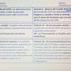 APRUEBAN LINEAMIENTOS DEL SISTEMA NACIONAL DE BÚSQUEDA DE PERSONAS