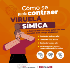 IMPORTANTE SEGUIR MEDIDAS PARA LA PREVENCIÓN DE LA VIRUELA SÍMICA