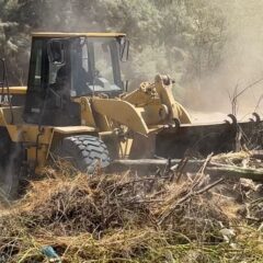 Continúa limpieza y desazolve de arroyos en La Paz