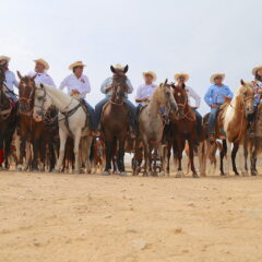 A paso firme y elegante, realizan tradicional cabalgata en el marco de las Fiestas de La Ribera 2022; fue encabezada por el alcalde Oscar Leggs Castro