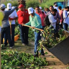 Más de 200 toneladas de lirio acuático se han retirado del Estero en SJC