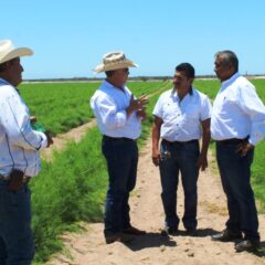 CONVOCAN A PRODUCTORES A PARTICIPAR               EN EL CENSO AGROPECUARIO 2022