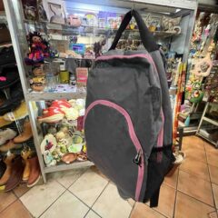 Recomienda IMSS BCS mochilas escolares con peso ligero, correas largas y acolchonadas