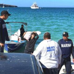 Se han recolectado 6 toneladas de residuos sólidos en playa Balandra