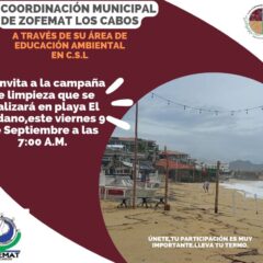 ¡Manos a la obra! Apoya en la jornada de limpieza que el personal de Zofemat Los Cabos realizará en la playa El Médano