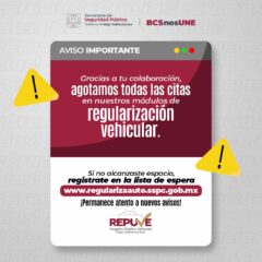 SE APERTURA LISTA DE ESPERA PARA VEHÍCULOS EXTRANJEROS PENDIENTES A REGULARIZAR