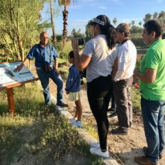 Con recorrido y avistamiento por Estero Josefino, el Gobierno de Los Cabos celebra el Día Internacional de las Aves Migratorias