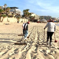 En CSL continúa la limpieza de playas y litorales