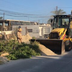 Más de 160 mil toneladas de basura se han levantado en Los Cabos durante las jornadas de limpieza