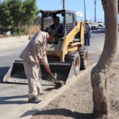 Personal de Servicios Públicos continúa trabajando en el mantenimiento y limpieza de camellones en CSL