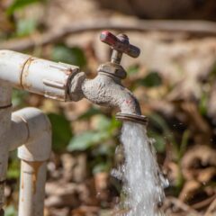 A través del OOMSAPAS La Paz, se abastecieron con agua potable a 103 colonias este 08 de diciembre