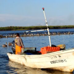 CIERRA EL 2022 CON MÁS DE 2 MIL PESCADORES INSCRITOS EN EL PROGRAMA SEGURO DE VIDA