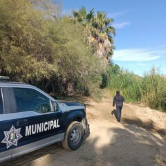 Seguridad Pública intensifica presencia y vigilancia en el Estero de San José del Cabo